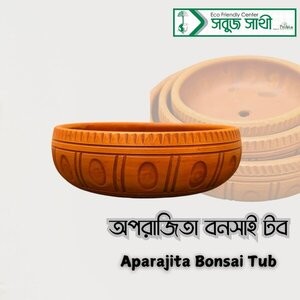 Aparajita Bonsai Tob