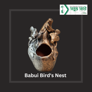 Babui Bird's Nest